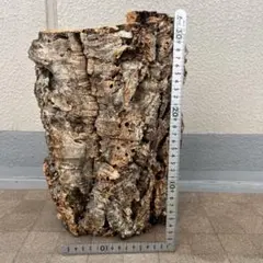 ベトナム材 VN材 13cm×18cm 産卵材 - メルカリ