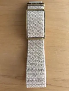 日本未発売　Polar Loop