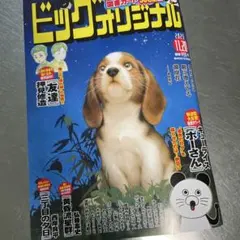 ビッグオリジナル No.22