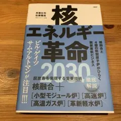 核エネルギー革命2030 斉藤圭司著