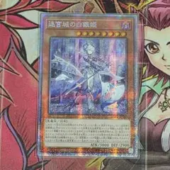 2025年最新】迷宮の白銀姫 プリズマの人気アイテム - メルカリ