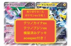 ym(7)1月末まで限定＂ワンコインデッキ＂テツノカイナex構築済みデッキ