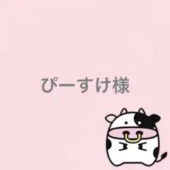 ぴーすけ様 リクエスト 2点 まとめ商品