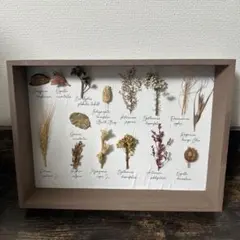 Item thumbnail for item b8eb07a0-9dfa-4b33-9253-f13b43e006a4