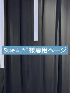 Sue✩.*˚様専用ページ