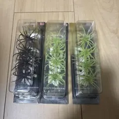 Item thumbnail for item 22b57c21-db57-4956-a415-2389c3ef6318