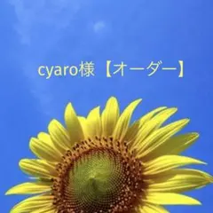 cyaro様【オーダー専用】