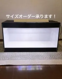 Item thumbnail for item 84829c68-1906-4f55-b647-46f3c7cf9232