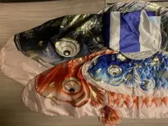 Item thumbnail for item bf9d2c5c-914a-4388-95fc-12a952c8268e