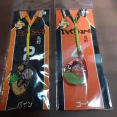 沖縄限定 ハイキュー！！ご当地アクリル根付 菅原孝支 西谷夕2個セット