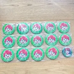 カラフルピーチ じゃぱぱ からぴち カラピチ 缶バッジ 16個セット