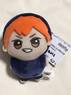 ハイキュー ちびぐるみ アニマルポンチョ 日向翔陽