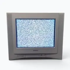 2026年最新】sony トリニトロン ブラウン管テレビの人気アイテム