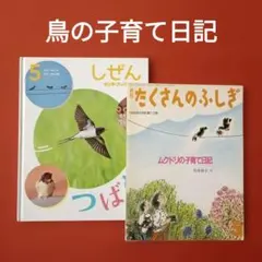 たくさんのふしぎ キンダーブックしぜん 春の花 さくら 福音館