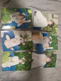 写真セット 9枚