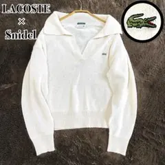 2025年最新】スキッパーニットプルオーバー snidelの人気