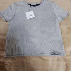 ZARA TRAFALUC ストライプ半袖Tシャツ