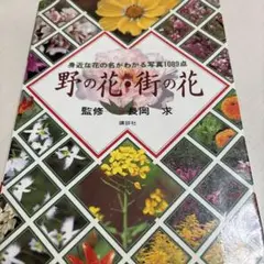 【中古】 春の野の花 2025年最新】野の花 の人気アイテム - メルカリ