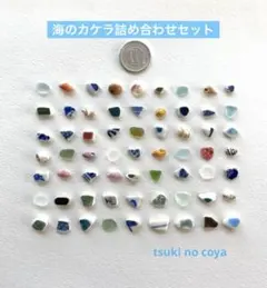 Item thumbnail for item c534a34e-5264-4b7f-af31-e848c41afbc3