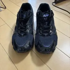 Mizuno WAVE RIDER 10 END． 30.0cm