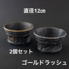 地層ゴールドラッシュ　4号　2個セット3dプリンター鉢　作家鉢