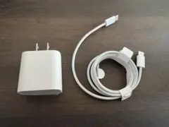 Apple純正　20W USB-C充電器とケーブルセット