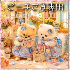 オーダー パネル購入 チワワちゃん - メルカリ