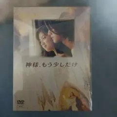 美品 神様、もう少しだけ〈4枚組〉 DVD 深田恭子 国内正規品 仲間