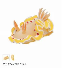 プータン様 リクエスト 2点 まとめ商品