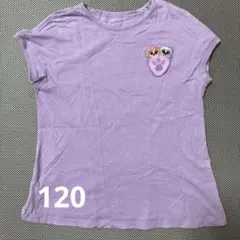 パウパトロール　ラベンダー 半袖Tシャツ 120cm