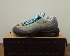 T*O様 F9【Used/27.5】NIKE AIR MAX 95 BLUE