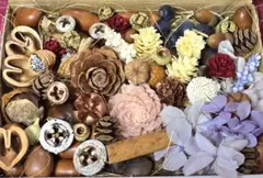 ドライフラワー花材(色々な木の実)