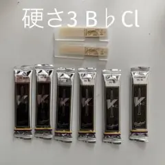 Item thumbnail for item 84984339-9c1e-45e2-95bb-10fcdf0199c1