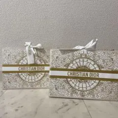 【未使用品】DIOR ディオール ギフトバッグ 大サイズ　限定　2点セット