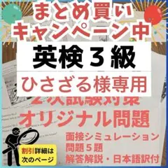 ひさざる様 リクエスト 4点 （eメール　解説日本語、意見論述　日本語）