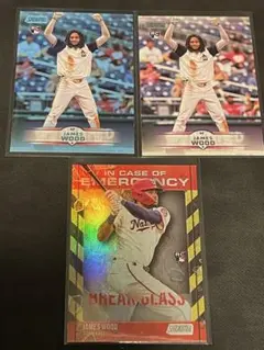 Item thumbnail for item 8e4d7493-f045-4690-967e-acf0dbbd9694