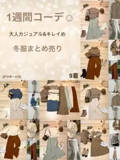 【アウター入り】✨冬レディース服✨キレイめ✨一週間コーデ✨総額5万円程✨9点