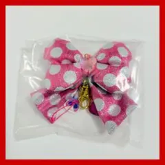 ディズニー　パルパルーザ　シークレットキーチェーン　ミニー　シークレット