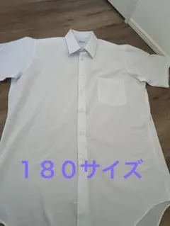 Bird Line １８０　半袖ワイシャツ ホワイト
