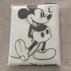 TOKYO Disney RESORT ポンチョ　カッパ　雨具