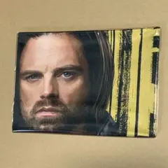 マーベル　直筆サインカード バッキー　セバスチャン•スタン サンダーボルツ 2025年最新】バッキー マーベルの人気アイテム - メルカリ