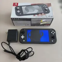 Switchライト 画面故障 ジャンク品 グレー！