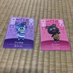 アミーボカード　アイダホ　ニッシー