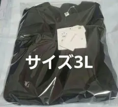 新品未使用大きいサイズ長袖ポロシャツ