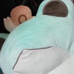 専用ページ