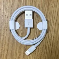Apple（アップル） USB – Lightningケーブル