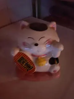 招き猫 まねきねこ 白 8号 貯金箱 左手 縁起 商売 - メルカリ
