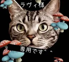 ラヴィ様 リクエスト 3点 まとめ商品