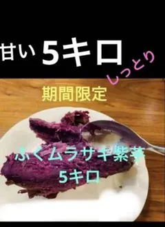 甘いしっとり紫芋5キロサイズ不揃い激安のサムネイル
