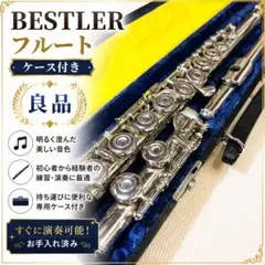 GEMEINHARDT 12SP フルート 音出し確認済 ケース付 初心者向け GEMEINHARDT 12SP フルート 音出し確認済 ケース付 初心者向け - メルカリ